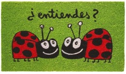 Felpudo ¿Entiendes?