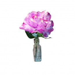 Peonia Rosa Artificial en Botella