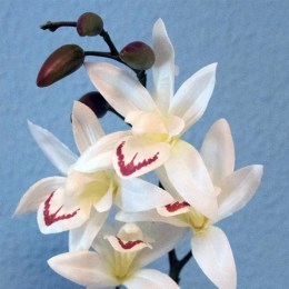 Botella Orquídea Blanca