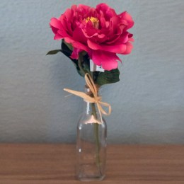 Botella Peonia Fucsia