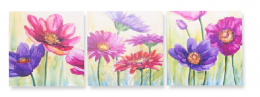 Set 3  Cuadros Flores