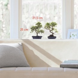 Vinilo Bonsais Ventana